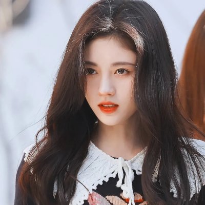 梅花档案 封面