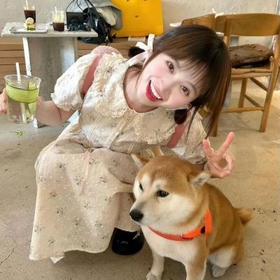 大明嫔妃之反攻 封面
