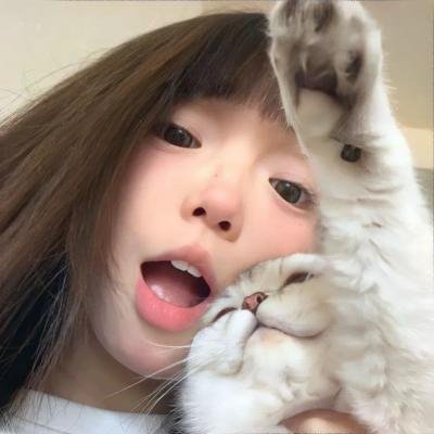 神探小红帽 封面